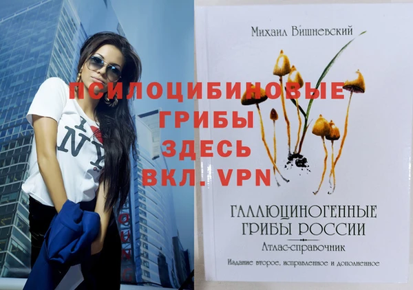 ПСИЛОЦИБИНОВЫЕ ГРИБЫ Баксан