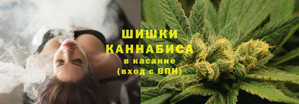 ПСИЛОЦИБИНОВЫЕ ГРИБЫ Баксан