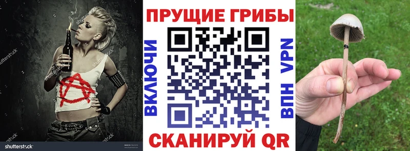 Псилоцибиновые грибы мицелий  mega ONION  Новая Ляля  наркотики 